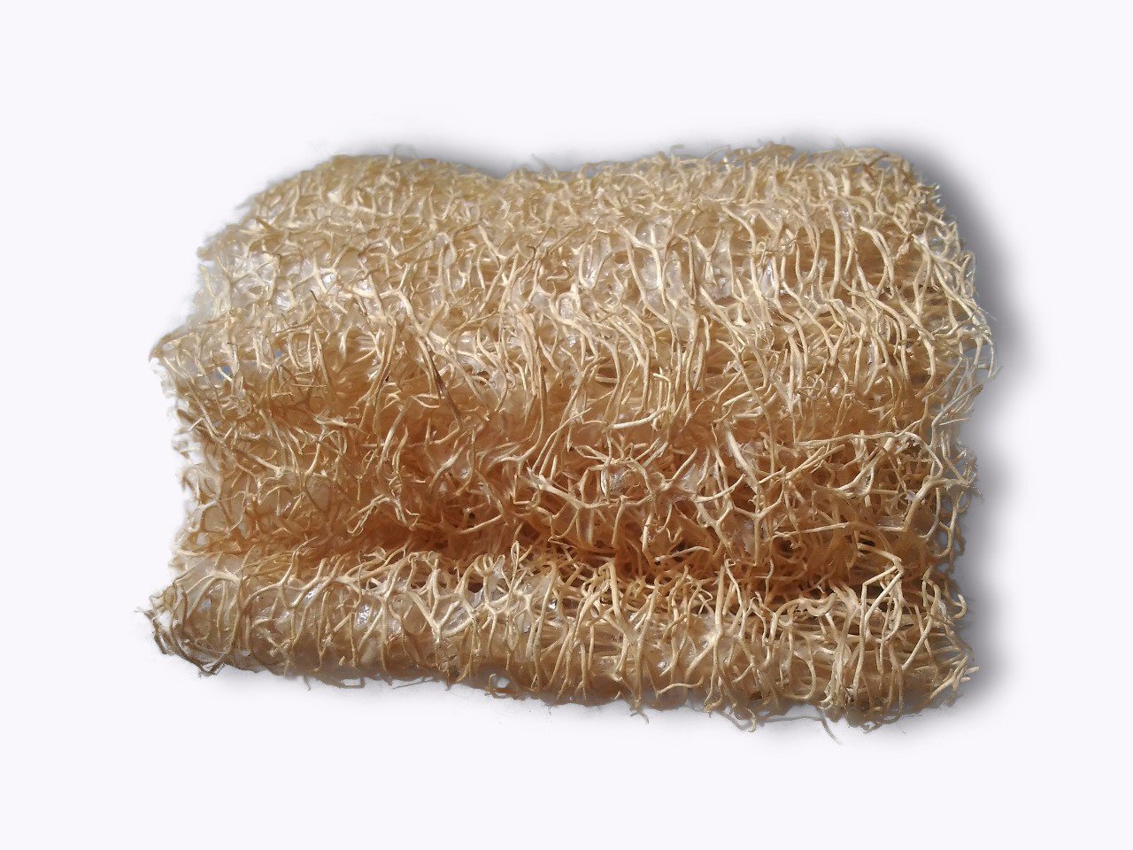 Loofah brut MAZAGRAN