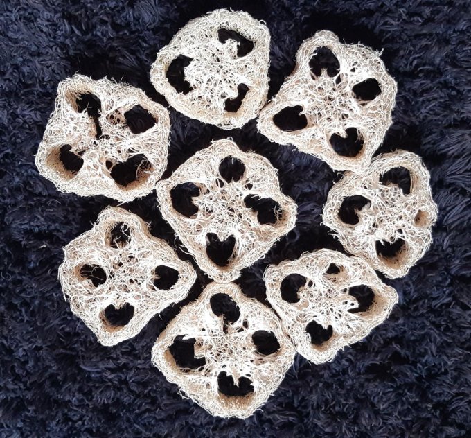 Loofah brut en rondelles - x1675