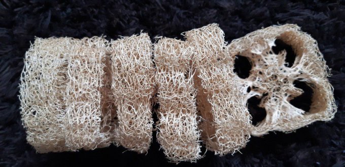 Loofah brut en rondelles - x1675