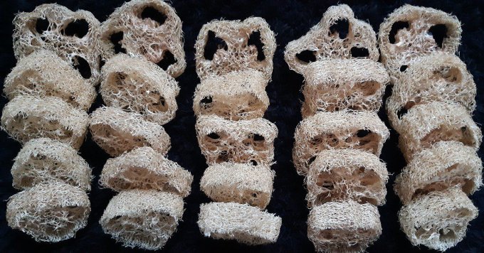 Loofah brut en rondelles - x1675