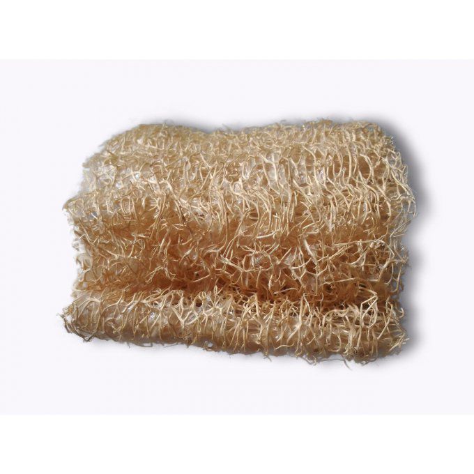 Loofah brut "MAZAGRAN"