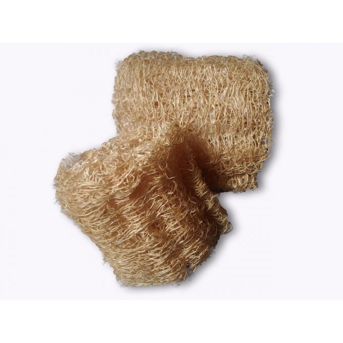 Loofah brut "MAZAGRAN"